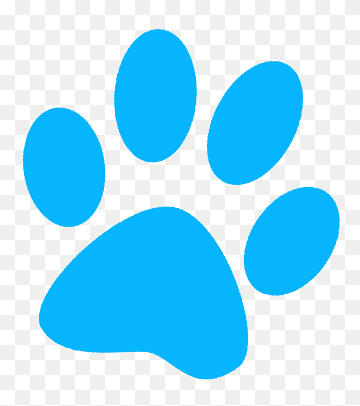 Logo Vida Animal
